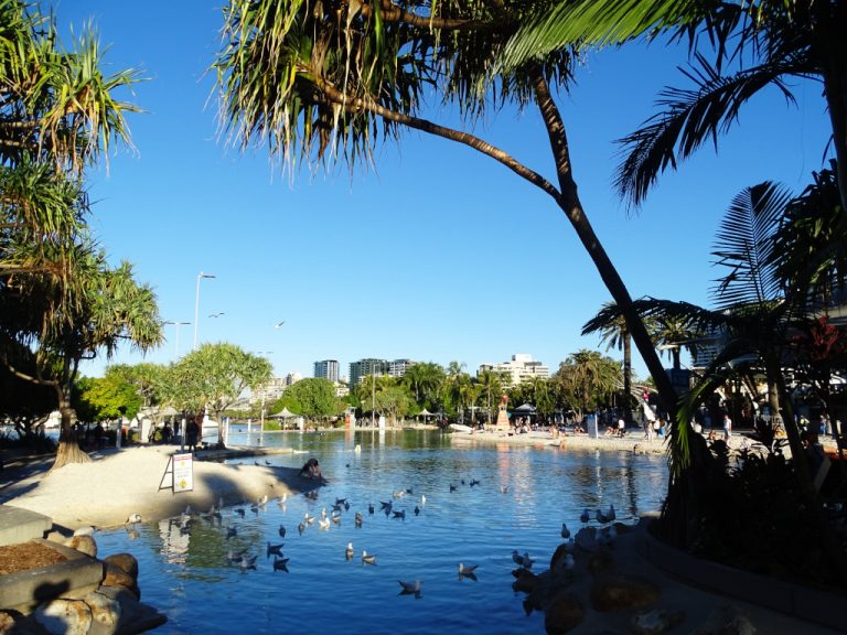 ブリスベンおよびケアンズ（オーストラリア） なんでも好奇心 Green Easy1